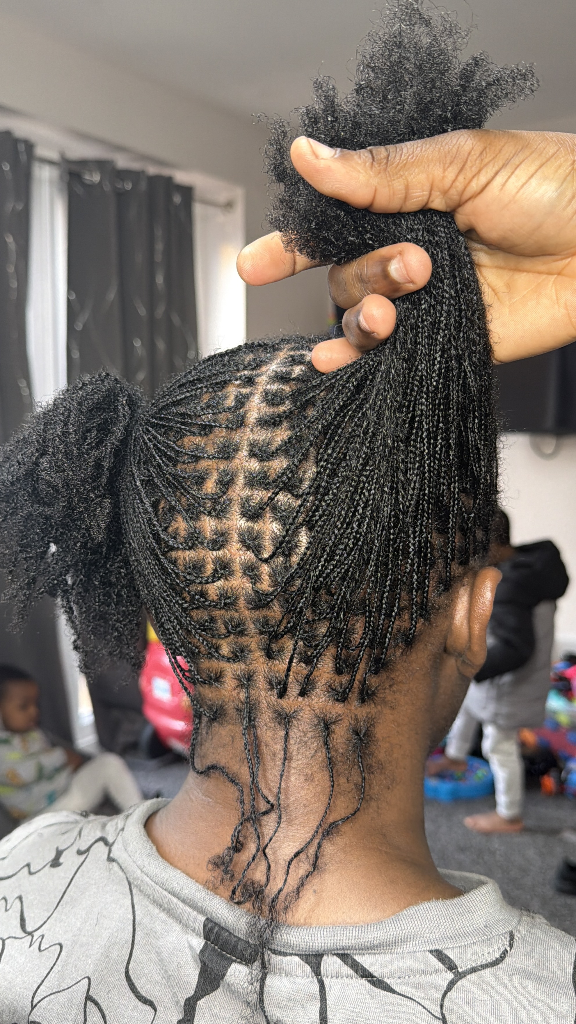 Micro Braids 3